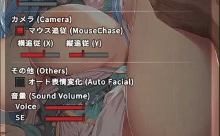 PC 触摸小莱〇酱 おさわりラ〇ィちゃん 日文生肉版