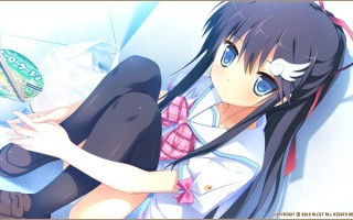    【PC游戏】[汉化硬盘版]隐名之人-中の人などいない！   #GAL     