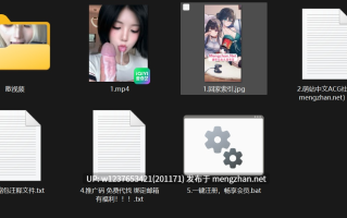明星/网红AI脱衣系列：西瓜冰特辑-大视频剪辑版-第二弹【366M+366M（原档+剪辑）】