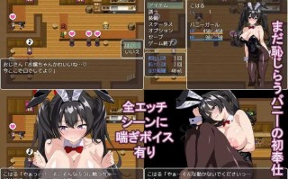 #卖春兔女的快乐堕落RPG 逐渐沉溺淫欲的兔女郎 #売春バニーの快楽堕ちRPG 徐々に淫欲に堕ちるバニー AI汉化版 萌站植入