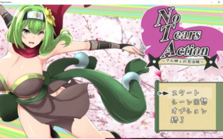 【PC版】【大型ACT/全动态】大姐姐的忍法帖NoTearsAction正式版 [1+2.5G]