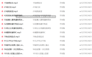 子非鱼中文音声合集【341M】