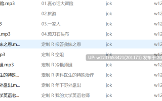 jok中文音声合集【1.4G】