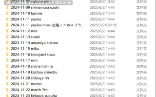 MISAAKI 付费内容2024.11【6g】 