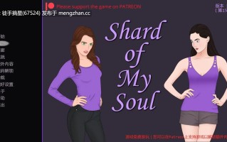 萌站汉化 【欧美SLG/AI汉化/女同】灵魂碎片v1.14 AI汉化版【PC/1.44G/更新】