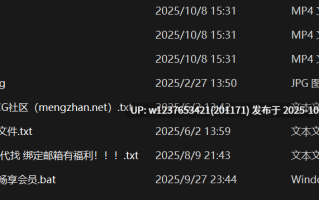 【网易CC】雅恩北北，清晰露逼肛塞加持，性感扭臀，黑丝湿透绝版高品【3V+342M】