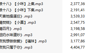 【粉丝福利/白嫖/激情骚麦/8部合一】【MP3版】【中文】【024-031】