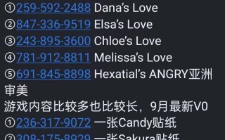 【PC&安卓直装/神作/今日更新/SLG/动态】特工17v0.25.3【共4.6GB】【附带24版本存档&礼包码】【官方中文】【2025.3.20 更新】