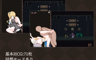 [ACT动态生肉PC]魔法之夜的公主 魔降る夜の姫[158M]D