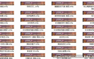 爽妹中文音声合集【5.96G】