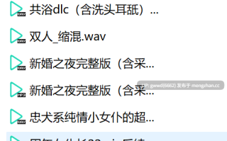 [0.4币]烛灵儿女仆花嫁六部3.5g