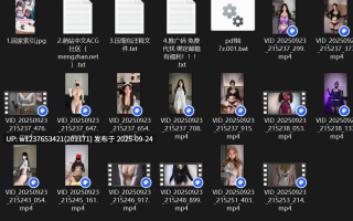 抖音擦边巨乳【盐汽喵】情趣内衣黑丝秘语空间福利【15v455m】