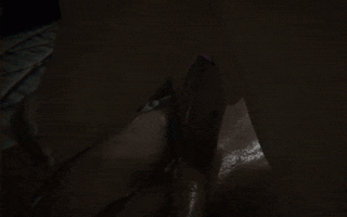 [3D互动PC动态PC] 饲养员 Breeders v0.19 [1.93G]