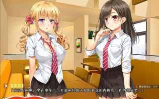 [ADV汉化] 惠里和千寻的援助交际日记~完美汉化硬盘版电脑1G