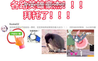 [3D大作/中文/开放世界/新作/全CV/PC] 渔网与罪恶的仪式 Rituals of Lust and Sin 官方中文步兵版 [16G/新作]