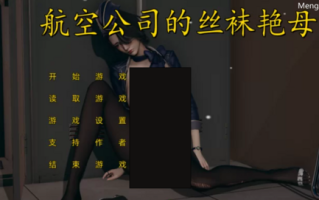 ADV/中文/PC+安卓】航空公司的丝袜艳母 官方中文步兵版 【1.2G/中文配音/新作】