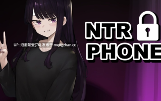  [双端/更新SLG/中文/NTR]NTR手机  V0.33.0 官方中文版