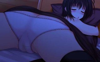 PC/SRPG/虫之监狱   #Insect Prison Remake  v1.0 官方中文重置版