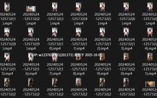 【微密圈】抖音文茜绝版大合集【16.1G】