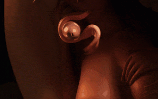 29[3D无修CV] Elasid ：Sierra's Soothing Spell 性感魔物娘强制榨精 [1.1G]