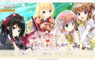 PC/ADV/乙女骑士请立刻抱紧我   #いますぐ私を抱きしめて   汉化版+全CG存档