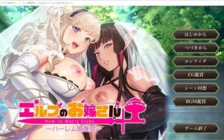 PC/[SLG/中文] 如何与精灵结婚~后宫结婚推奖 汉化版+全CG存档
