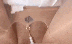 【全网最真实绿帽龟男第一视角看着自己老婆被单男爆草内射！还把精液从白虎骚穴里扒出来给自己老公看！】全程骚话不停，骚母狗荡妇不停说着淫话骂废物绿帽老公，还说你只能看着我被别人草，还要录下来以后，下次做爱的时候看！全程太精彩了！精品！ #废物龟男看着自己老婆唉草