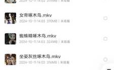 自购2024年大艺术嘉抖音音频