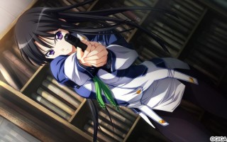  【PC游戏】[汉化硬盘版]BALDRSKY ZERO   #GAL   #3D