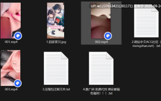 【昭仁稀罕】童颜巨乳极品COS嫩妹，跳蛋自慰，骚穴直拍，美瞳很亮眼【3V-3.95G】