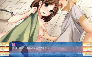 PC/ADV/#日在朝鲜   #朝鲜之旅 #Stay! Stay! DPRK 精翻汉化版【酸碱中和有点咸个人汉化版】