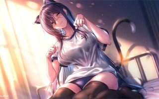 [大型ADV巨乳熟女COS] PC甜蜜女友2+ アマカノ2＋精翻汉化+特典+全CG存档 [11.1G][G]