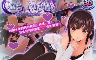 【3D互动/野外野战/全动态/PC】One Night ~仅限一夜的幼妻~STEAM官中 【300MB】