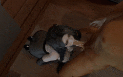 【2K/无修/无水印】新作-[fengying]-巨乳御姐2K