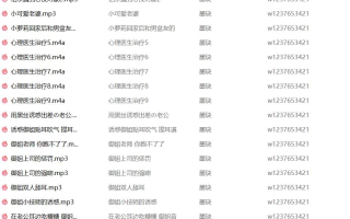 墨玦中文音声合集【1.37G】