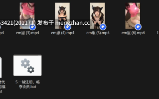 抖音反差巨乳萝莉【em崽】乳贴/弯腰抖胸舞，大尺度，可爱颜值~【6V 392M】