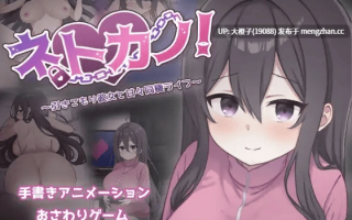 [SLG汉化PC][過眠蝶]ネトカノ！～引きこもり彼女と甘々同棲ライフ～[1.47G]