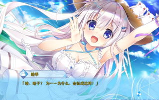 [魔法/魅魔/姐] 深野协调魔法使（玉响未来）汉化硬盘版 [6.1G]