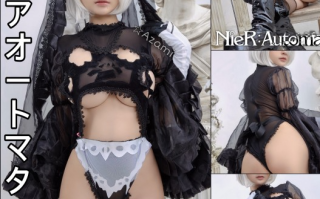 Azami - NO.19 黑纱套装2B小姐姐 [20P-220MB]