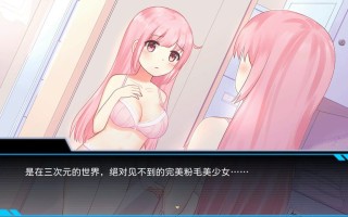 PC 少女的求生之路：研究所  官方中文版