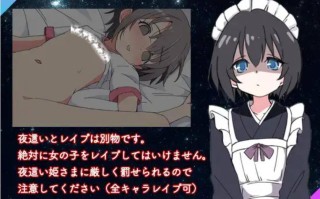 【SLG/AI内嵌翻译/PC】夜袭姬之愿(夜這い姫)