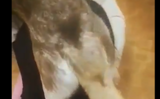 【自打包】人寿合集   2G