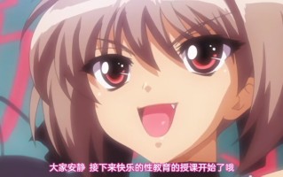 高质量老番 里番出神曲 Alignment You! You!   1～2 pinkpineapple 粉菠萝 里番合集 呆萌合集