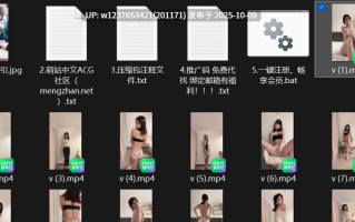 快手31万网红【瑜婉/媮晚】极品身材长相清秀，私人定制，内衣顶胯反差骚舞摸穴诱惑【17v1.99G】