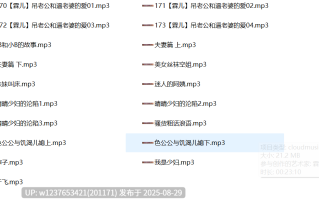 霖儿中文音声合集【520M】