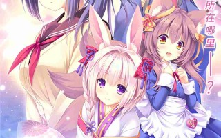 【日系/ADV/精品/官中/奇幻/恋爱】雪境迷途遇仙踪 まどひ白きの神隠し【4.59G】【序号329】