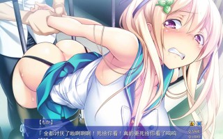 PC/[ADV-AVG] 汉化免安装版  Ｐｌａｙ！ Ｐｌａｙ！ Ｐｌａｙ！惨  心愿屋汉化组汉化版本
