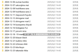MISAAKI 付费AI图集 2024.12【6g】