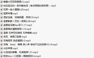 【中文音声/91部合集/91A/共1.8GB】#Flora圆圆 舰长福利合集 【舔耳/哄睡/R18情景】【22小时合集/MP3】