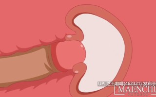 2D动画   慧慧被内射了